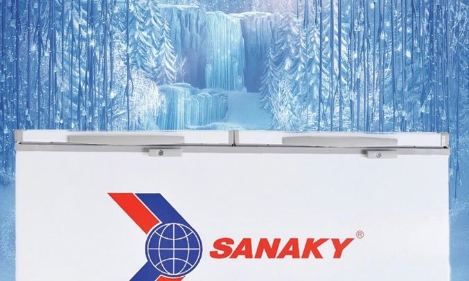 Tủ đông Sanaky Inverter 270 lít VH 3699W3
