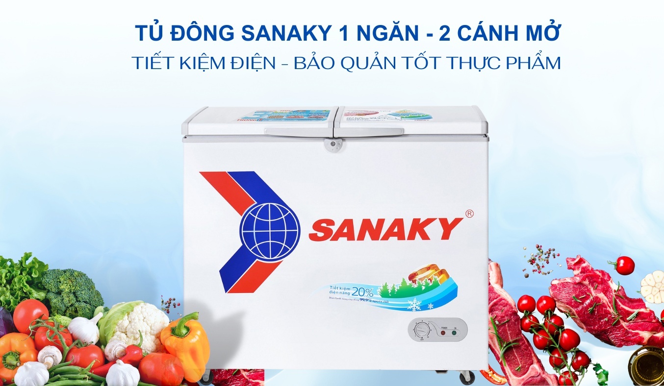 Tủ đông Sanaky 175 lít VH-2299A1