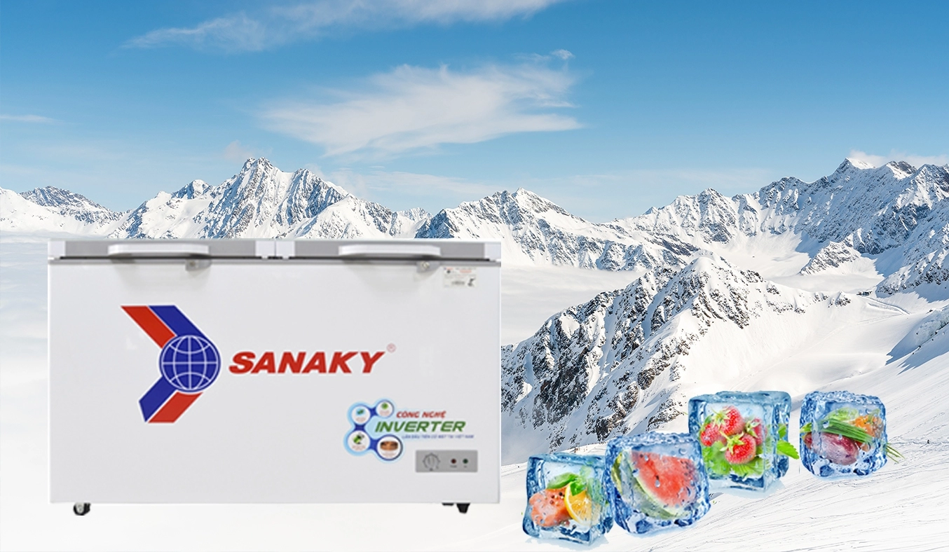 Tủ đông Sanaky Inverter 235 lít VH-2899A4K
